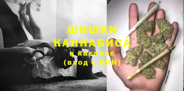 прущие грибы Покровск
