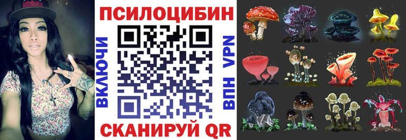 Галлюциногенные грибы Cubensis  Ревда 